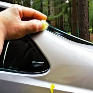 Чем отмыть древесную смолу и почки липы с авто.